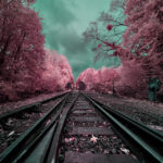 Tracks[3]