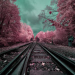 Tracks[3]