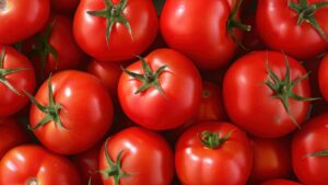 To-MAY-to, To-MAH-to: State Laws, State Lingo, and the Interpreter's Dilemma