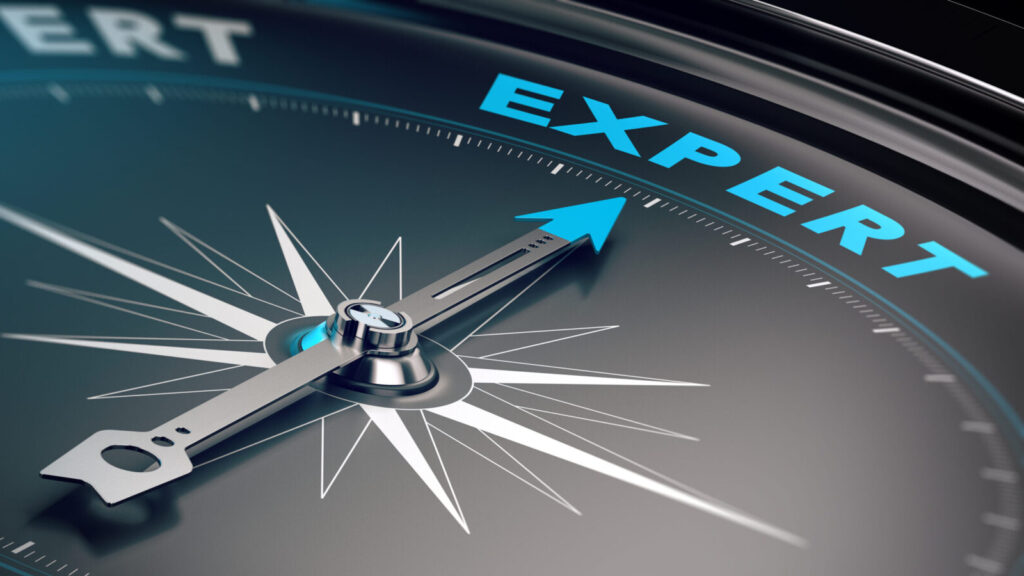 The Linguist as an Expert and Strategic Advisor